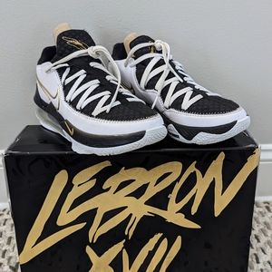Nike Lebron Xvii Low Basketball Shoes Mens Cd5007, Sz 7